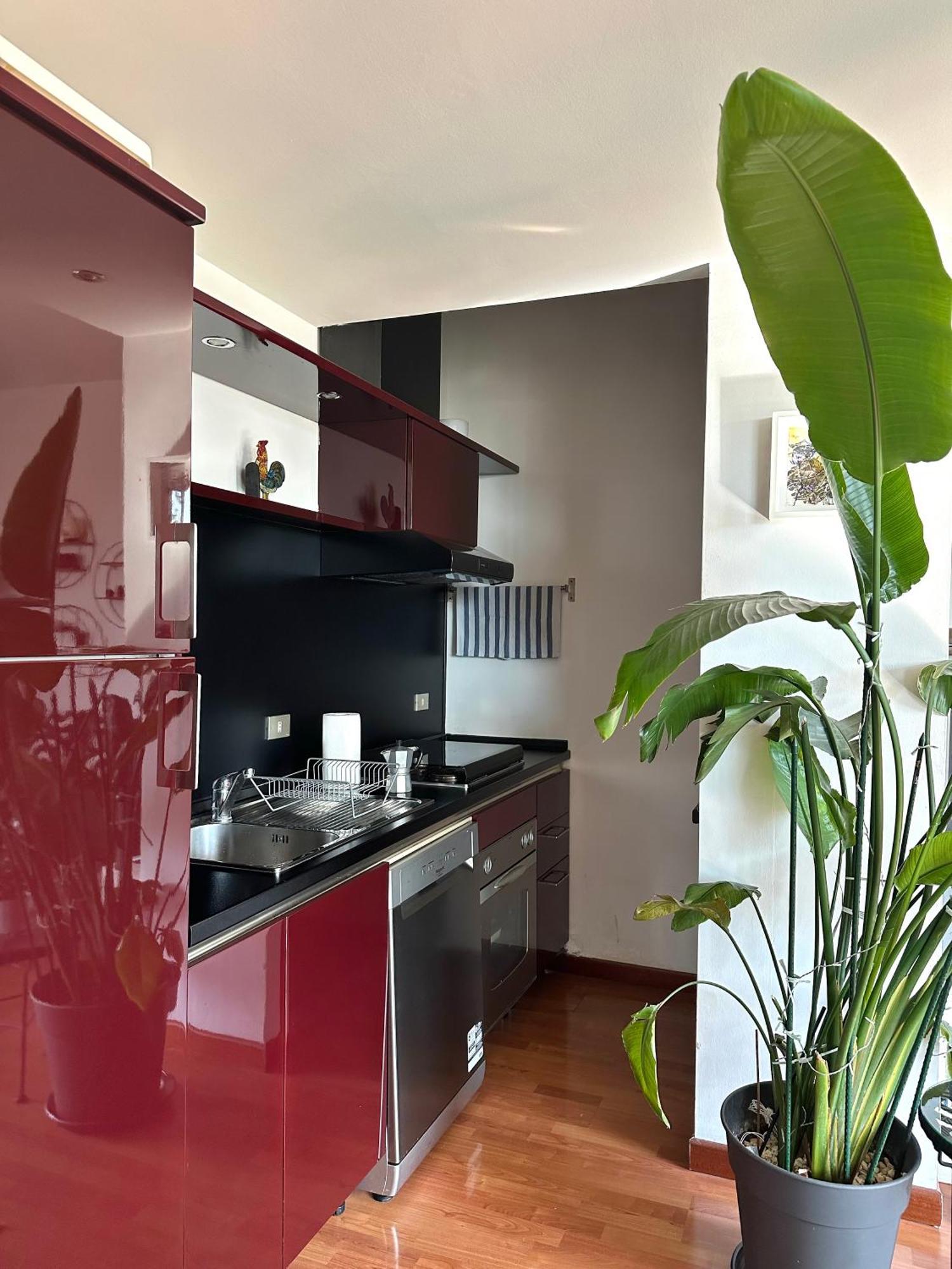 Urban Jungle - Attico Vista Duomo Apartment Milan Bagian luar foto