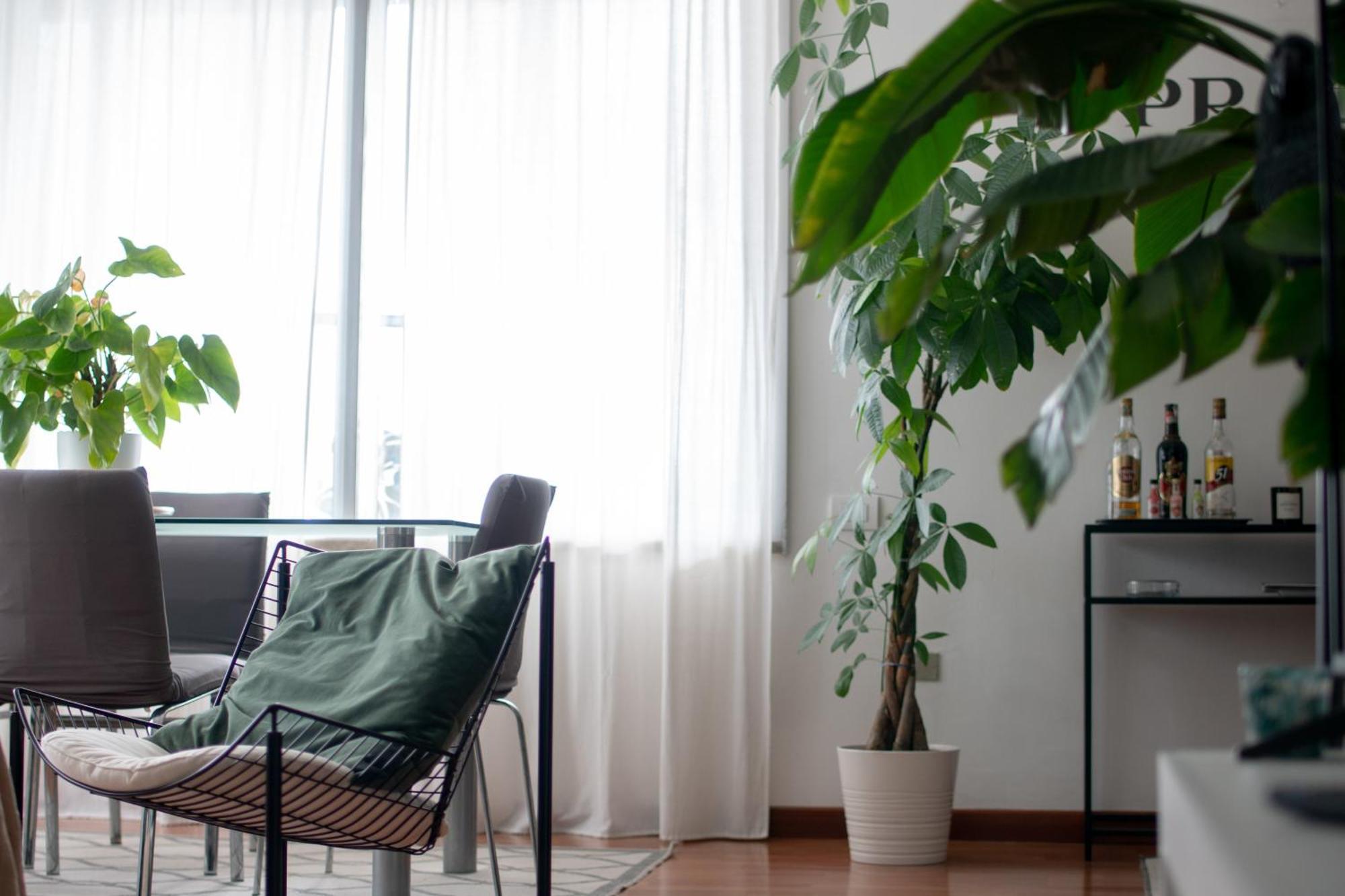Urban Jungle - Attico Vista Duomo Apartment Milan Bagian luar foto