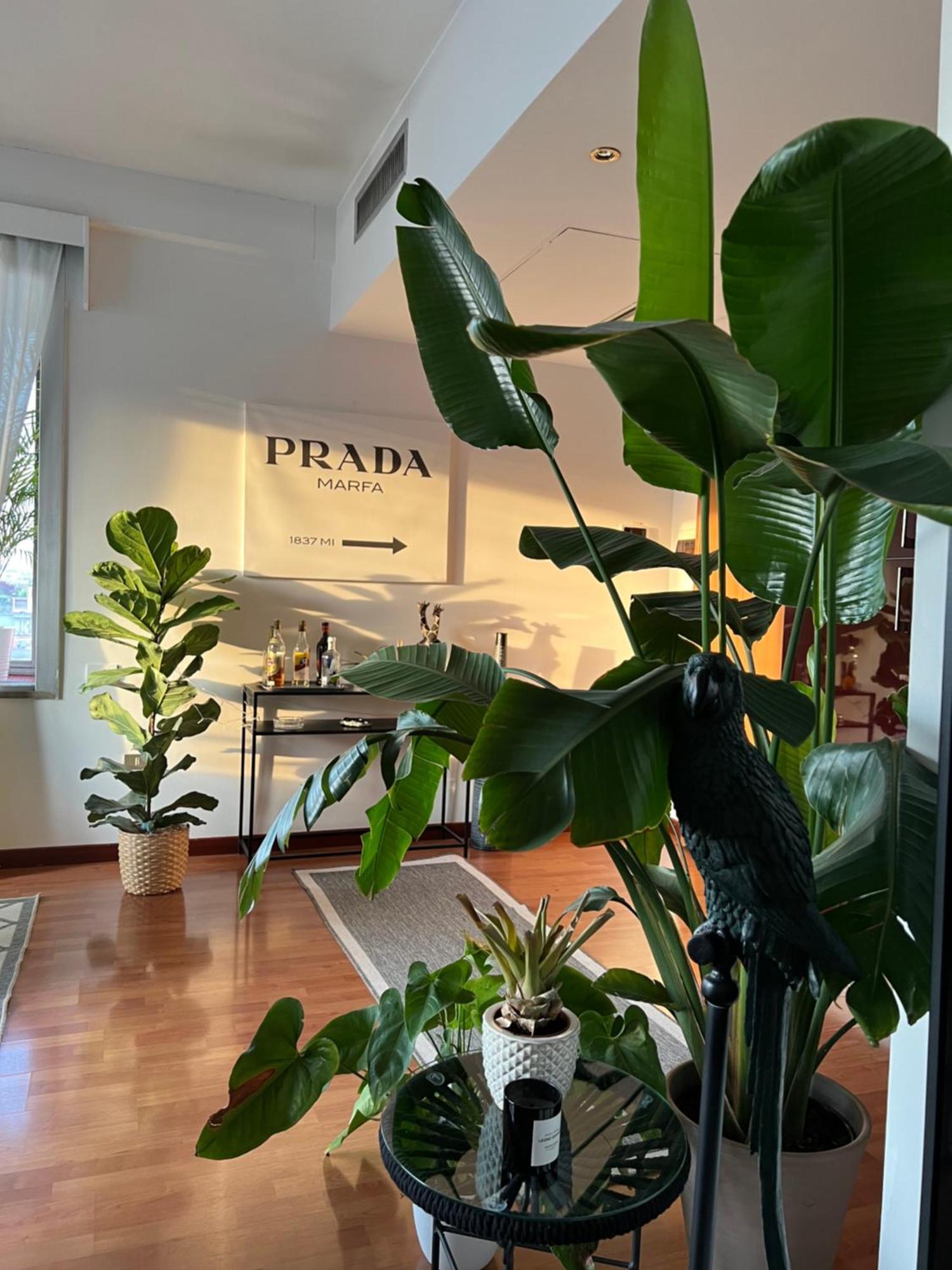 Urban Jungle - Attico Vista Duomo Apartment Milan Bagian luar foto